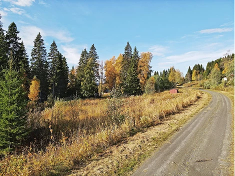 Kolåsen Brännavägen
