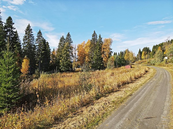 Kolåsen Brännavägen