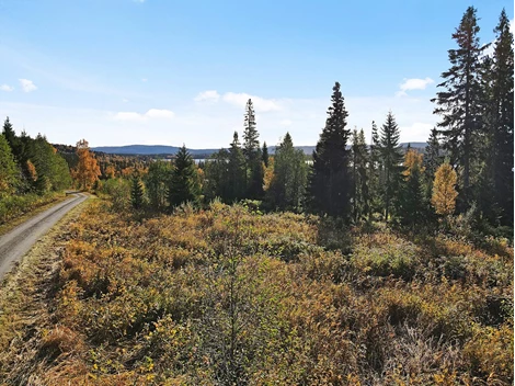 Kolåsen Brännavägen