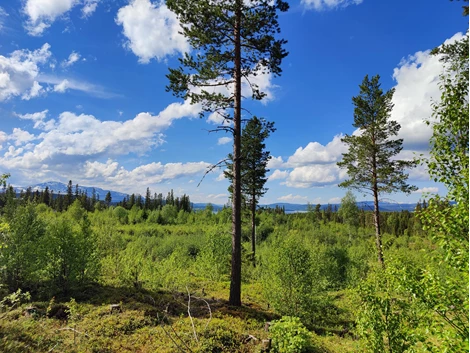 Bratteggens fritidsby - Lunnarvägen 9