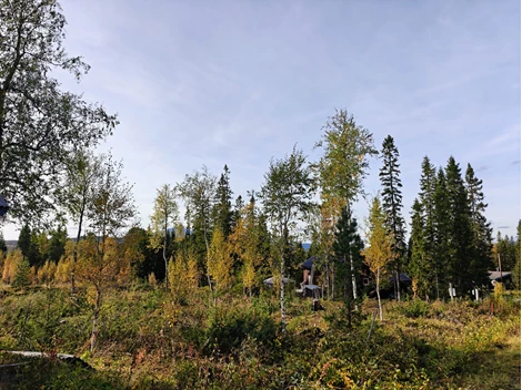 Hästvägen 4