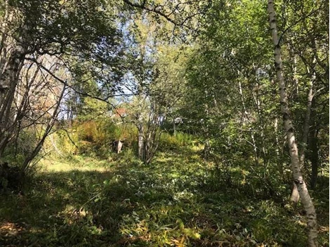 Björnänge 850
