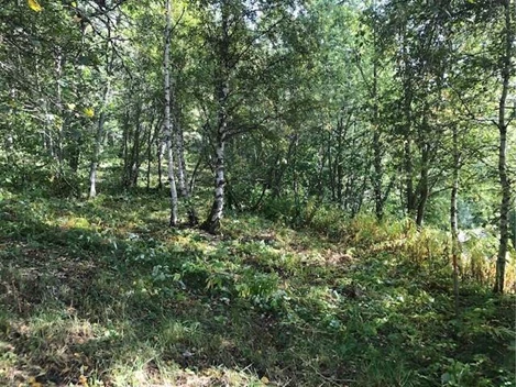 Björnänge 850