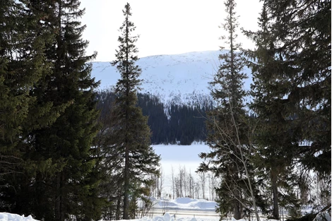 Bydalen