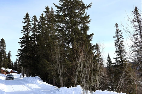 Bydalen