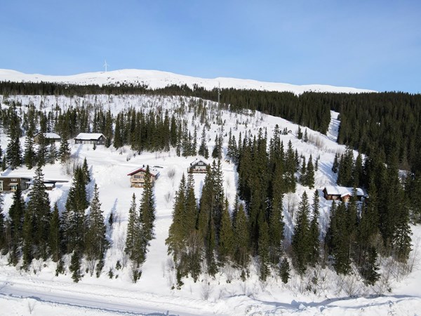 Bydalen