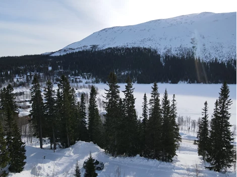 Bydalen