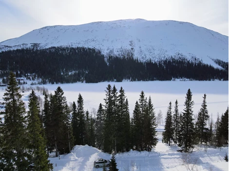 Bydalen