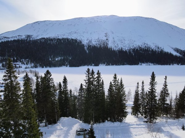 Bydalen