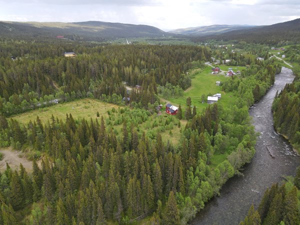 Fjällnära precis i utkanten av byn Ljungdalen