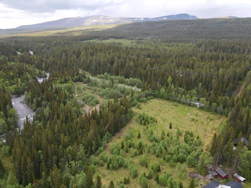 Ljungdalen