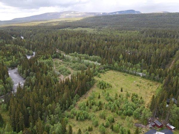 Tomt med härligt läge ca 100 meter från Älven