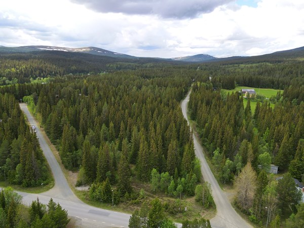 Kapellvägen
