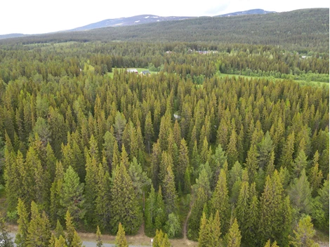 Kapellvägen