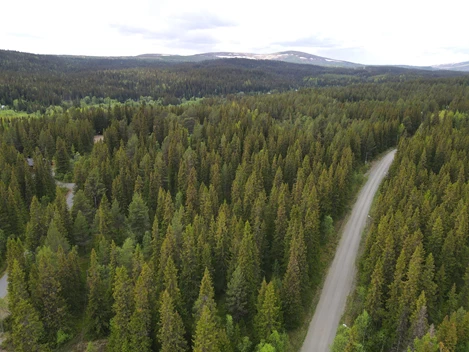Kapellvägen