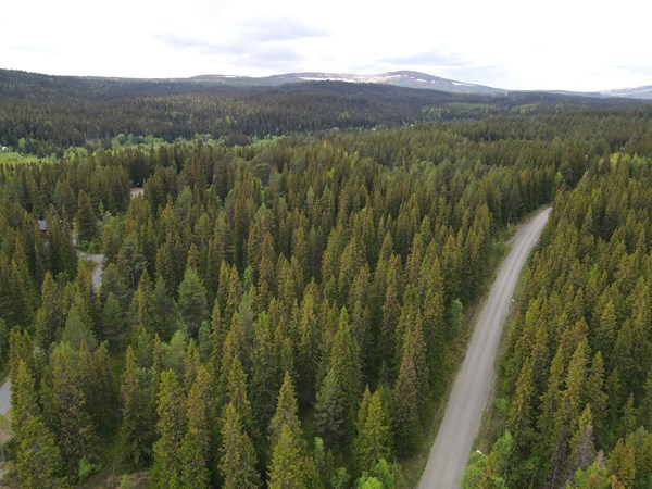 Kapellvägen