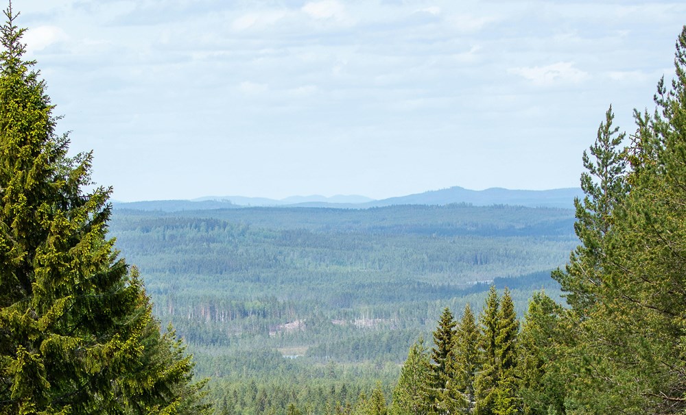 Cookies och integritetspolicy